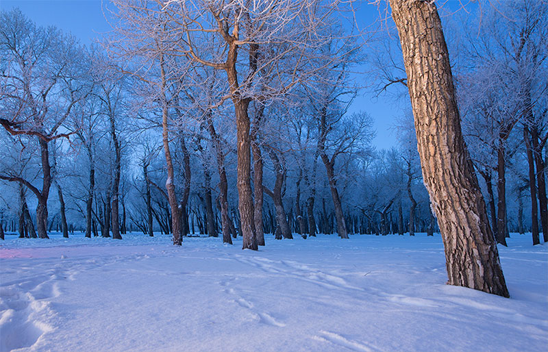 january photos mongolia 